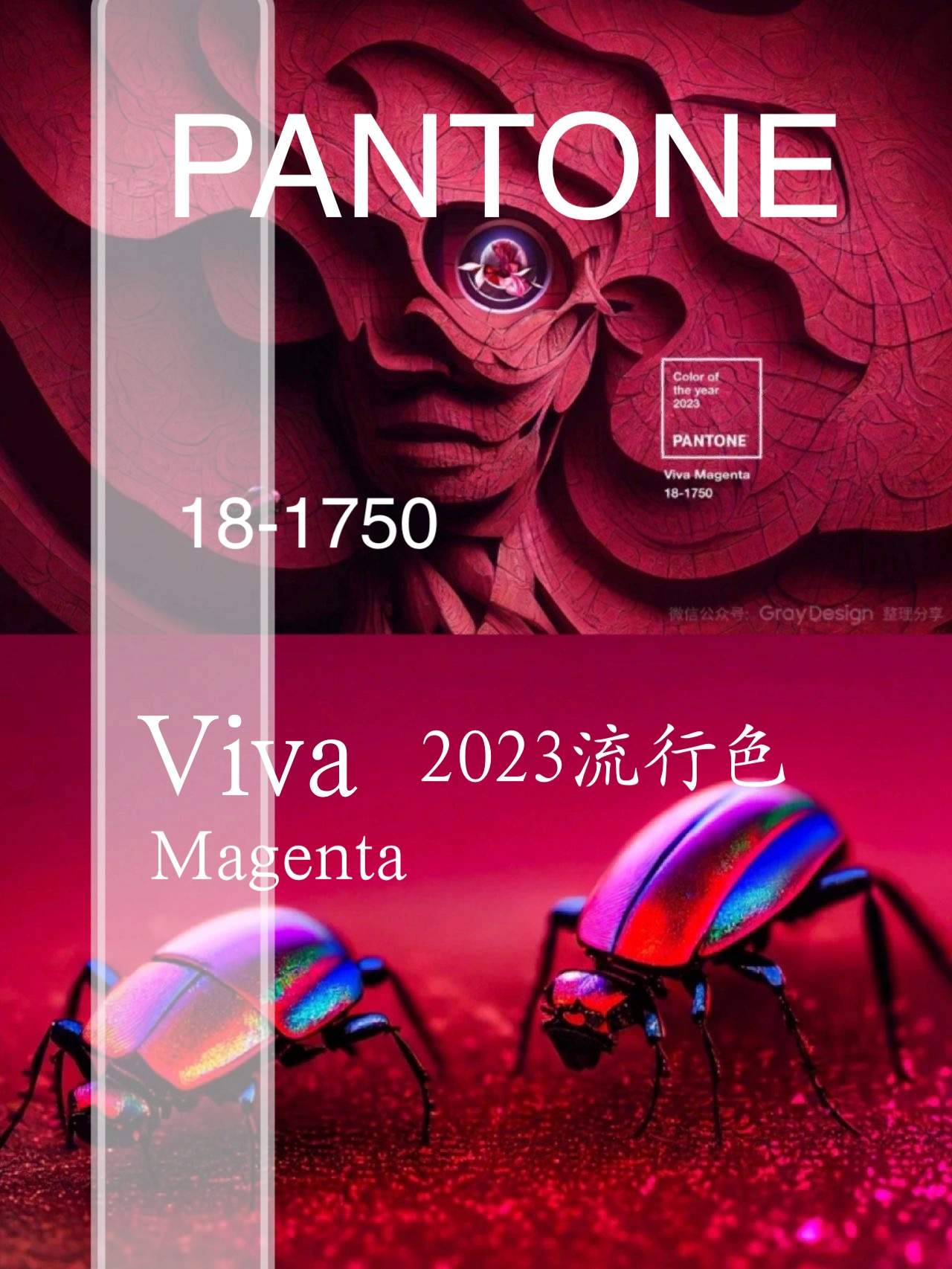 【色彩趋势】2023年度流行色｜PANTONE 非凡洋红 Viva Magenta 18-1750