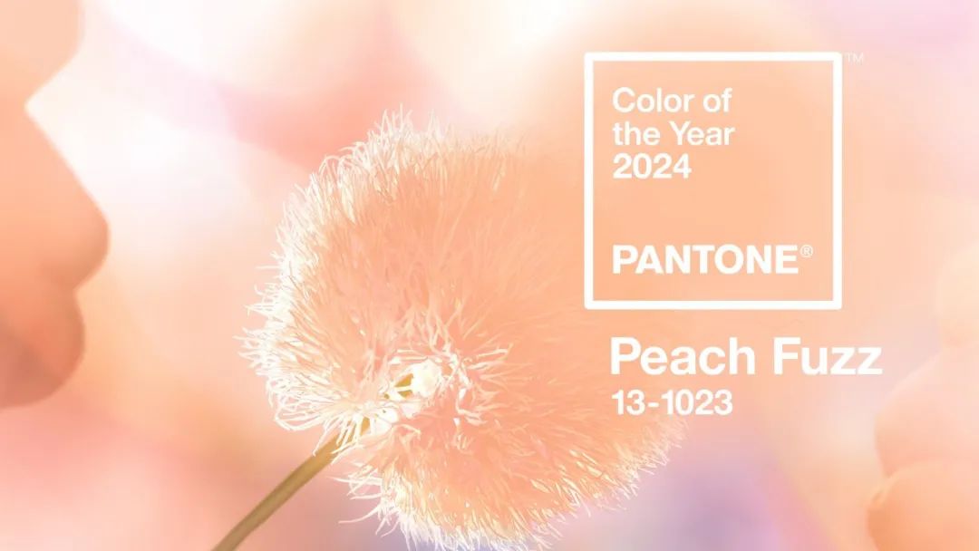 [色彩趋势] PANTONE 2024年度流行色发布：13-1023 Peach Fuzz 柔和桃色调