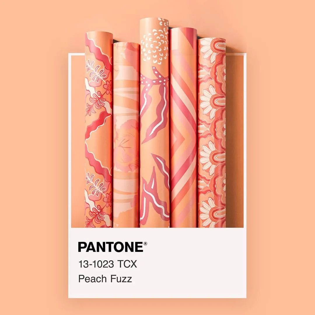 [色彩趋势] PANTONE 2024年度流行色发布：13-1023 Peach Fuzz 柔和桃色调