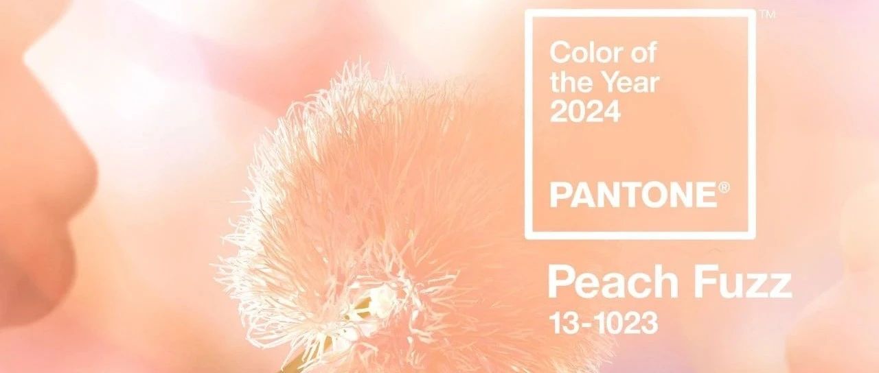 [色彩趋势] PANTONE 2024年度流行色发布：13-1023 Peach Fuzz 柔和桃色调