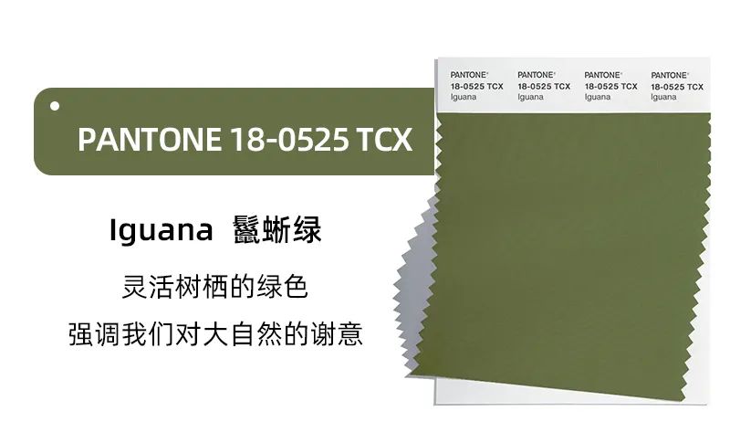 【色彩趋势】 | PANTONE彩通2024/2025年秋冬伦敦时装周流行色趋势