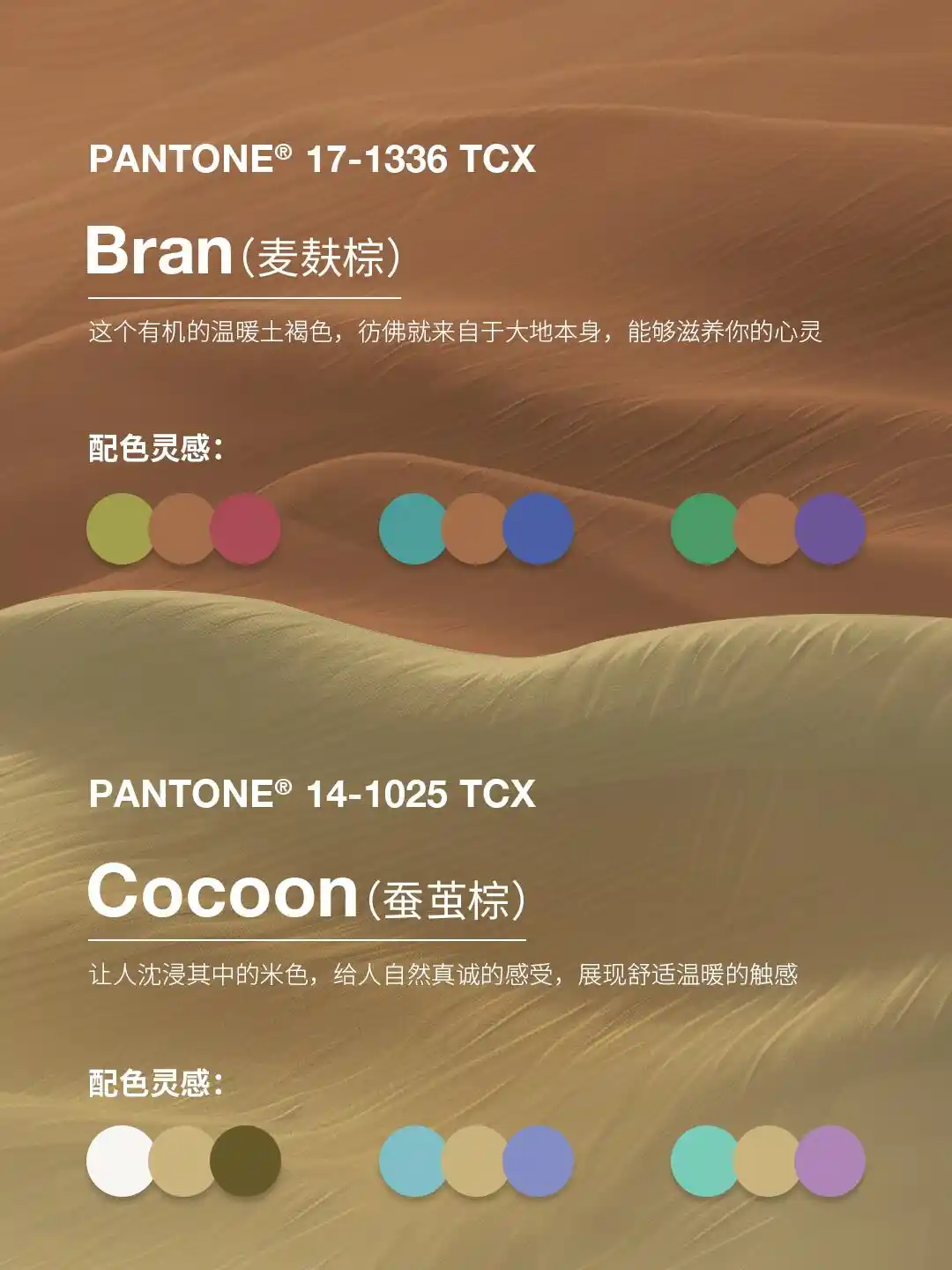 【流行趋势】2025年春夏季纽约时装周的色彩 2025SS Color Trends