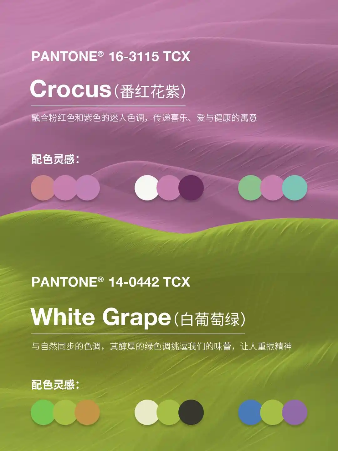 【流行趋势】2025年春夏季纽约时装周的色彩 2025SS Color Trends